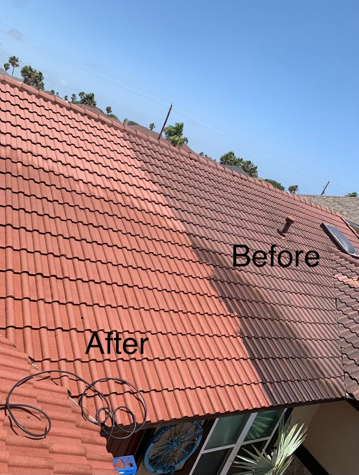 Tile roof soft wash — half cleaned showing dramatic before and after