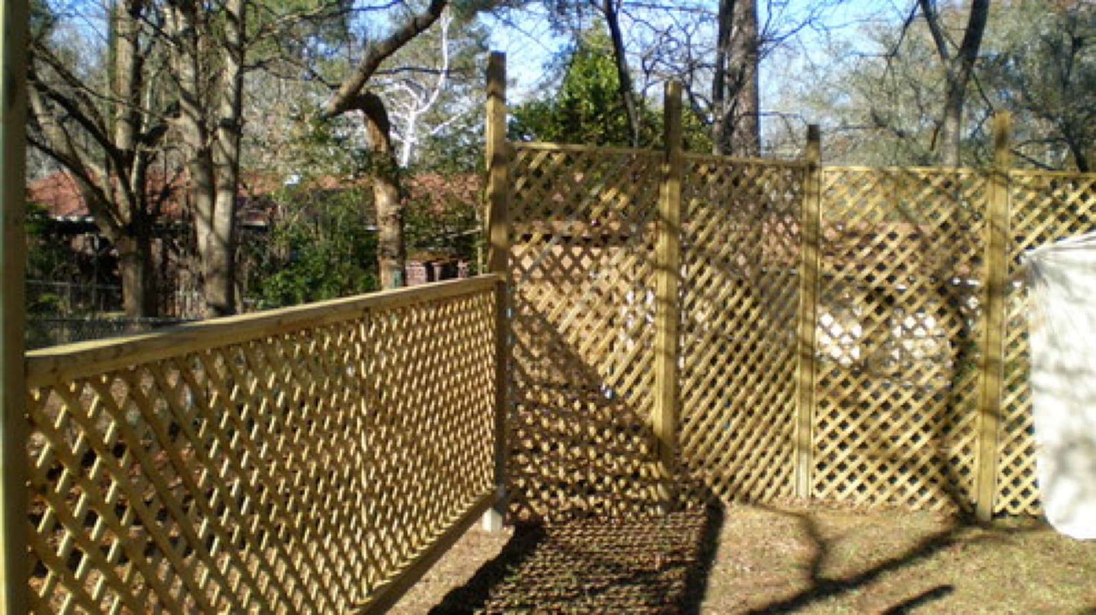 A wooden lattice-top privacy fence in a backyard